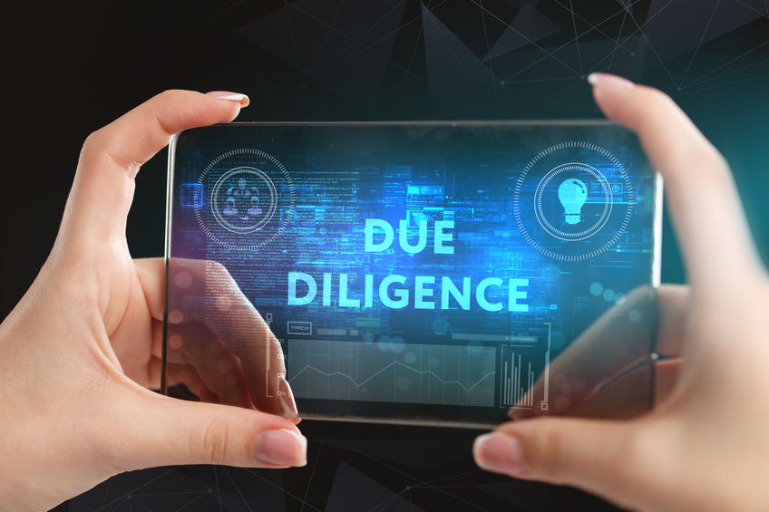 Due Diligence Services